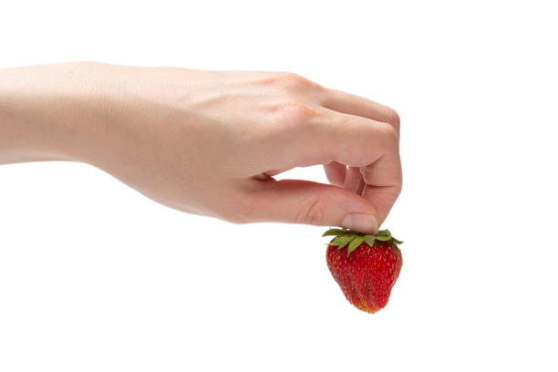istock Strawberry kept in hands isolated on white background. 1330539902