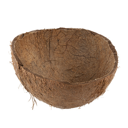 Coconut empty shell. File contains clipping path. Design element.