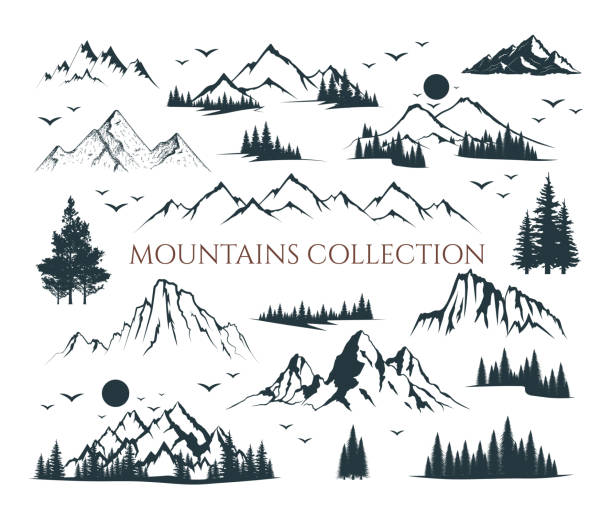 Mountain shapes and fir forest trees collection. Vector isolated illustration with rocky mountains, trees silhouettes. Landscapes and scenery. vector art illustration