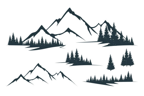 Vector isolated illustration with rocky mountain peak silhouette, fir trees and tree valley. Mountain with forest. Landscape and scenery. Vector isolated illustration with rocky mountain peak silhouette, fir trees and tree valley. Mountain with forest. Landscape and scenery. mt stock illustrations