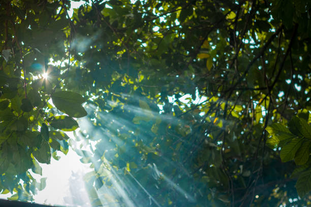 This is photograpy ray of light