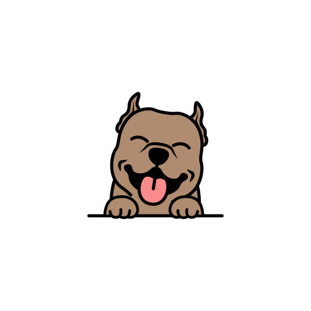 cute pitbull dog smiling cartoon, vector illustration - 比特犬 幅插畫檔、美工圖案、卡通及圖標