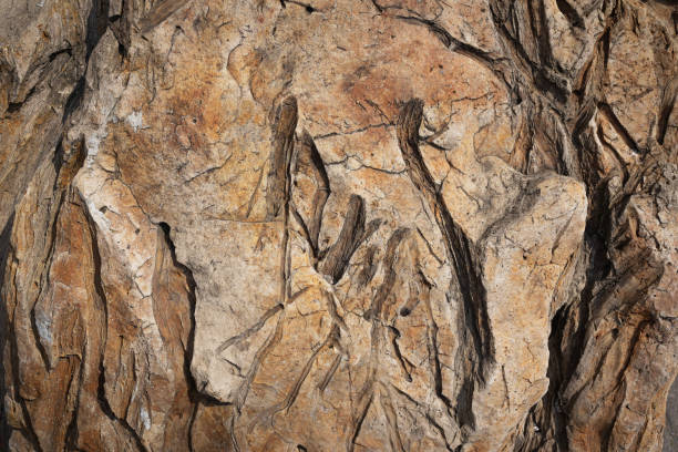 nahtloser abstrakter natürlicher gesteinshintergrund - igneous rock stock-fotos und bilder