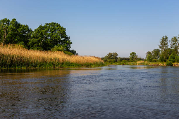 istock Summer day over Warta river in Warta Landscape Park, Poland. 1330547937