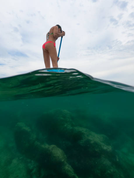 Low angle view of a woman paddling Low angle view of a woman paddling paddleboard surfing water sport low angle view stock pictures, royalty-free photos & images