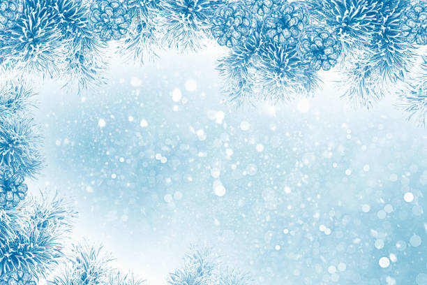 istock winter trees in the snow. White forest. 1330555557
