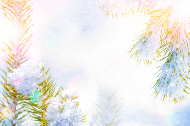 Christmas tree in the snow. greeting card. winter