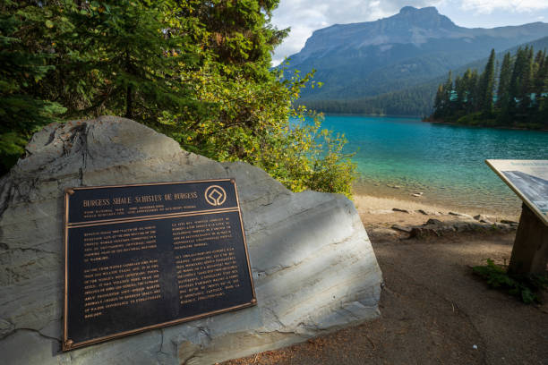istock Emerald Lake, Yoho National Park, British Columbia, Canada 1330559625