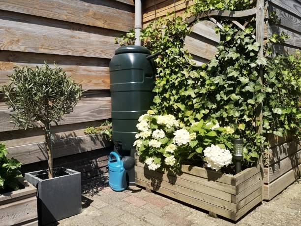 istock rainwater tank in garden 1330560084