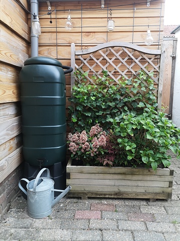 A green rain barrel with an iron watering can in a garden