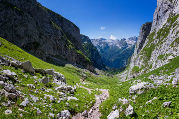 frauenwandern, nationalpark berchtesgadener berge, deutschland - bayerische alpen stock-fotos und bilder