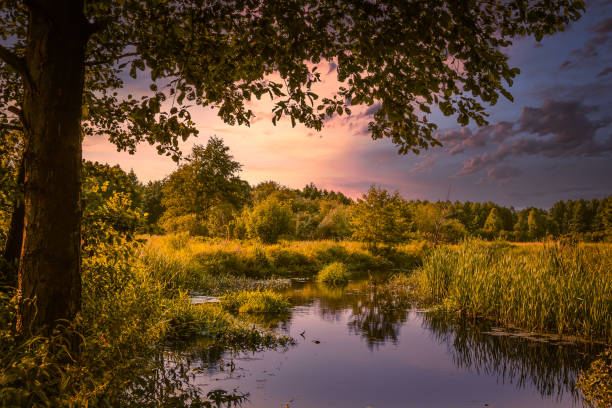 istock Sunset over a small river in central Poland. 1330564376
