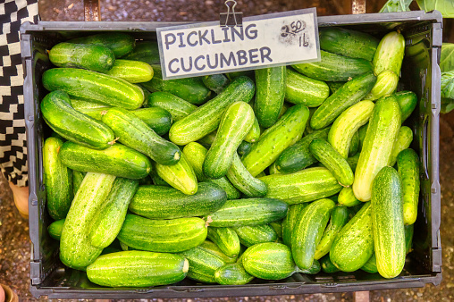 pickling cucumbers at the farmer's market
