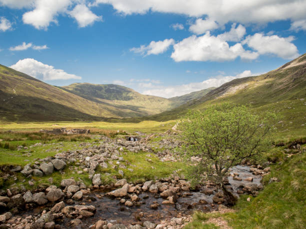istock Burn near Lairigmor 1330564927