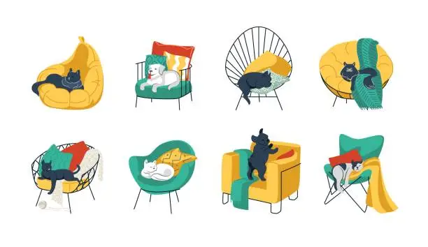 Vector illustration of Pets in chairs. Cartoon funny home animals in cozy armchairs. Cats and dogs sleeping and resting on sofa. Kittens playing on stools. Vector bright furniture set with pillows and blankets