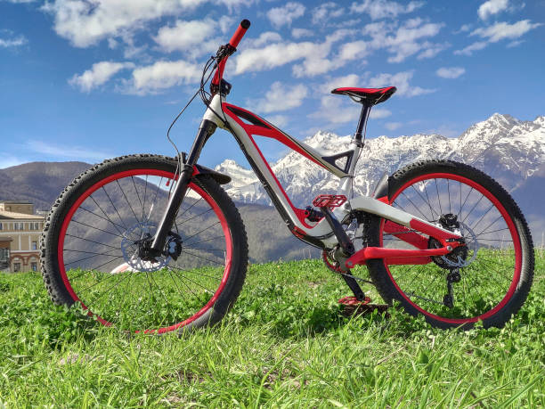 istock Full suspension bicycle for downhill riding 1330566124