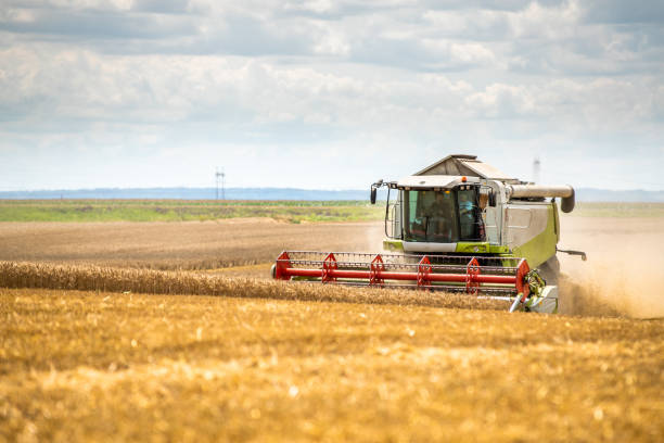 istock Combine harvester in action on wheat field. 1330568309