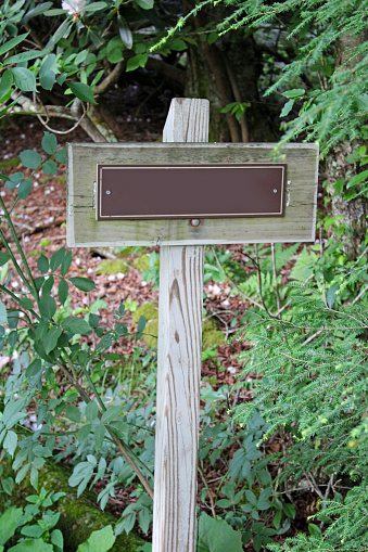 Wooden sign in the woods - sign is empty so you can put words on it