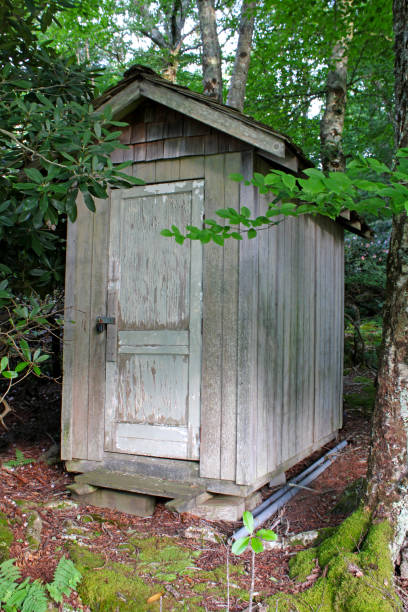 istock Old wooden shed in the woods 1330568585