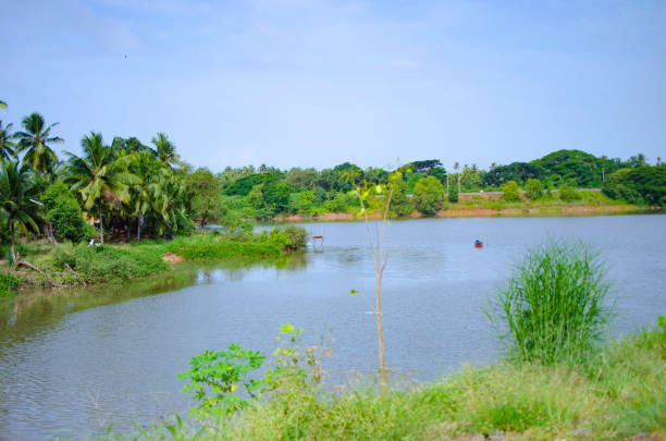 istock Backwaters of Netravathi river at Mangalore, India 1330569508