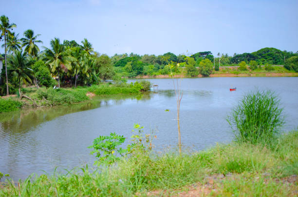 istock Backwaters of Netravathi river at Mangalore, India 1330569513