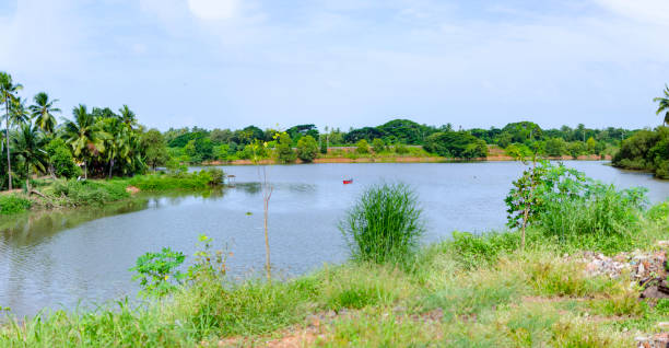 istock Backwaters of Netravathi river at Mangalore, India 1330569521