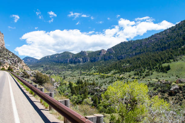 floresta nacional bighorn perto de ten sleep, wyoming em us 16 em junho - bighorn national forest blue wyoming green - fotografias e filmes do acervo