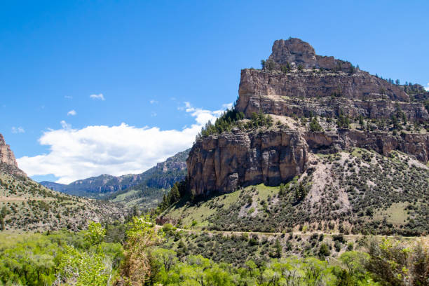 floresta nacional bighorn perto de ten sleep, wyoming em us 16 em junho - bighorn national forest blue wyoming green - fotografias e filmes do acervo