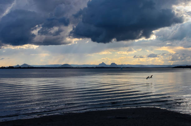 Two birds flying low over the water near sunset under a dramatic ominous sky will rain falling on the distant mountains - Bribie Island Australia