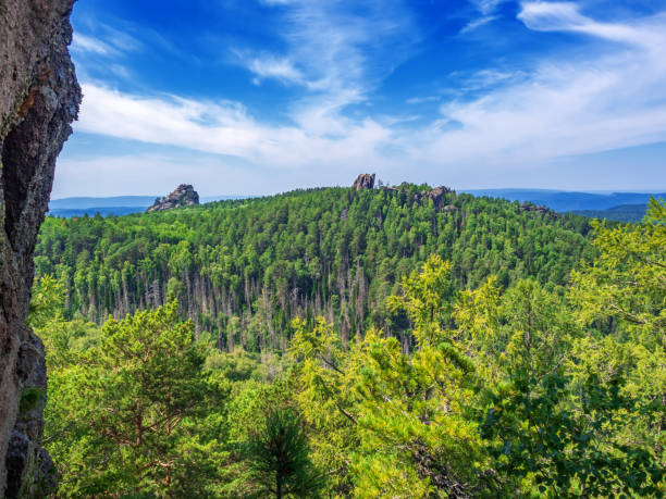 istock A look at of a dense coniferous forest. View from above. 1330572505