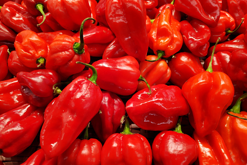 Stack of red habanero chilis (Capsicum chinense) on a market stall.