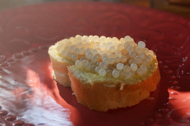 istock Snail caviar. A useful, expensive product with a high nutritional value. 1330579126