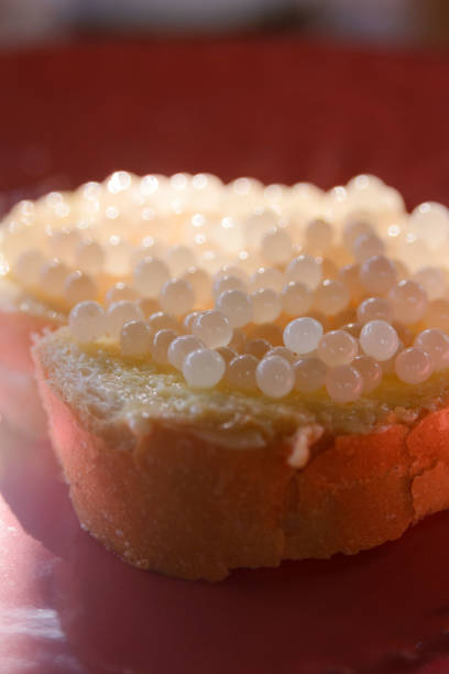 istock Snail caviar. A useful, expensive product with a high nutritional value. 1330579128