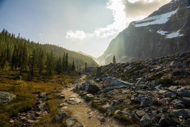 山の土道 - jasper national park ストックフォトと画像