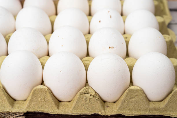 istock Exploded view of an egg carton container with organic white chicken eggs. 1330580010