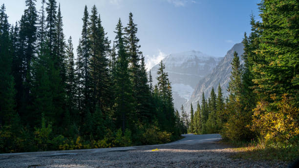 istock View of Jasper from the ski area 1330580250