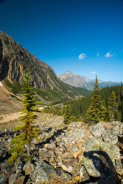 istock View of Jasper from the ski area 1330580286