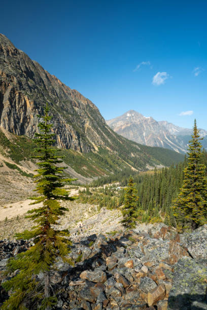 istock View of Jasper from the ski area 1330580409