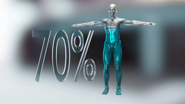 3d Illustration of body water balance, water in human body, 70% of the human body is water. 3d render stock photo