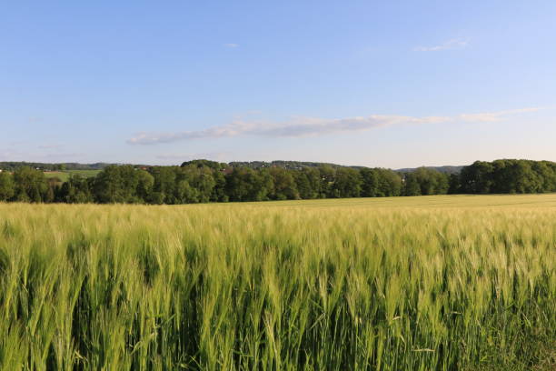 istock Early summer in Iserlohn in the Sauerland 1330585525