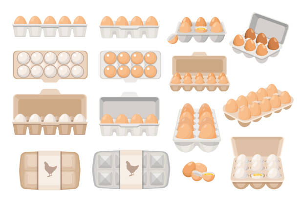 ilustraciones, imágenes clip art, dibujos animados e iconos de stock de juego de huevos en cajas, producción de agricultores, iconos de alimentos agrícolas orgánicos para market place, tienda o tienda. producción avícola - eggs