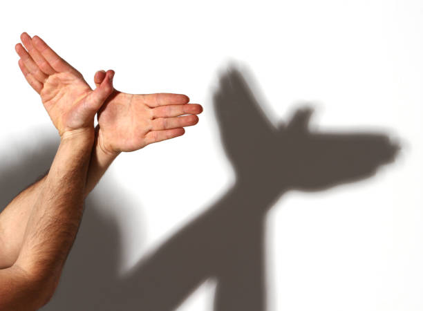 Our Best Hand Shadow Animal Stock Photos, Pictures & Royalty-Free Images - iStock Our Best Hand Shadow Animal Stock Photos, Pictures & Royalty-Free Images - iStock