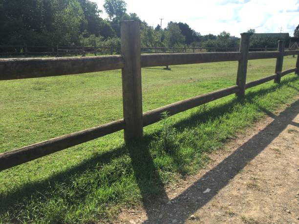 istock Wooden fences 1330589843
