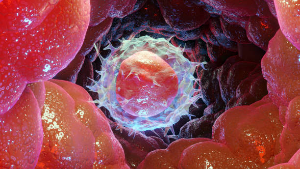 istock 3d Illustration of Lymphocyte type Leukocyte cell, white blood cells, 3d render 1330594235