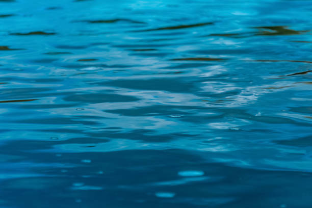 istock blurred abstract background - water in the rain 1330594288