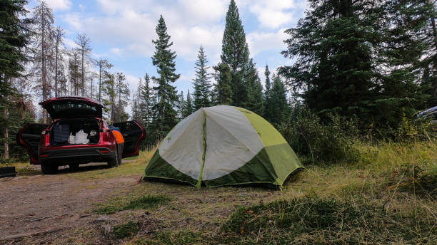 istock Camping in the Canadian Rockies 1330596104