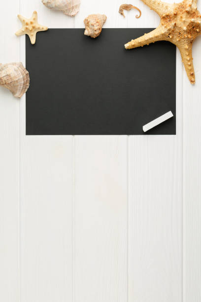 istock Blackboard with molluscs seashells on the board 1330596124
