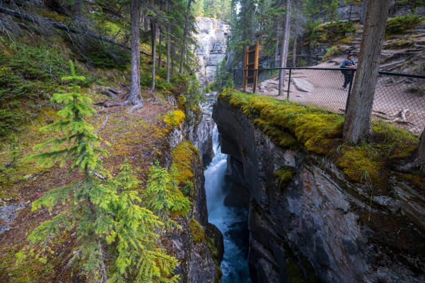 canyon maligno in alberta - lago maligne foto e immagini stock