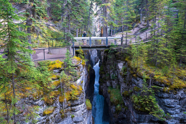 cañón maligno en alberta - lago maligne fotografías e imágenes de stock