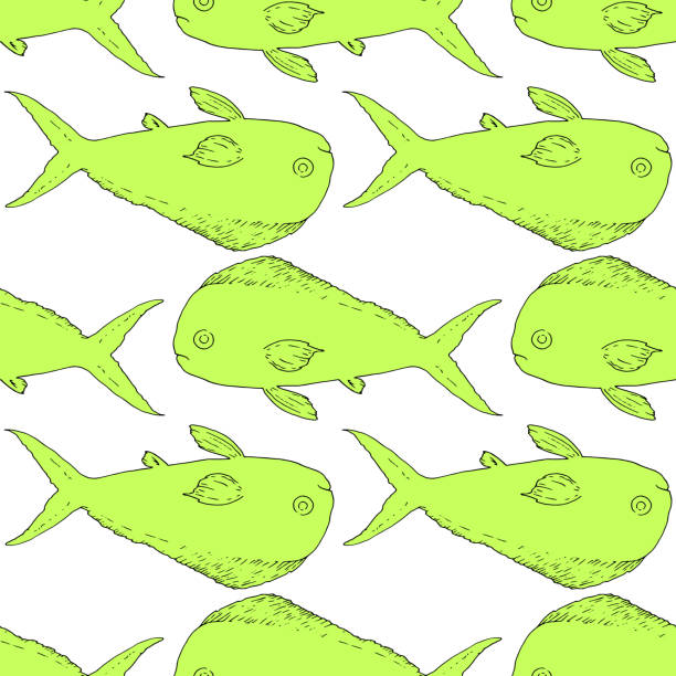 ilustraciones, imágenes clip art, dibujos animados e iconos de stock de vector patrón sin costuras de verde coryphaena fish.a patrón de un océano dibujado a mano pez coryphaea en el estilo de boceto, verde claro, situado en diferentes direcciones horizontales sobre un fondo blanco para una plantilla de diseño de menú, se� - coryphaena